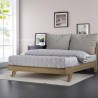 Modern design tweepersoonsbed 160x200 cm met lattenbodem en kussens Rust King Kosten