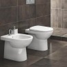 Cuvette WC à poser filomuro évacuation horizontale verticale sanitaires Geberit Selnova Vente