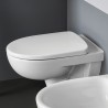 Abattant WC blanc Geberit Selnova pour sanitaires salle de bain Offre