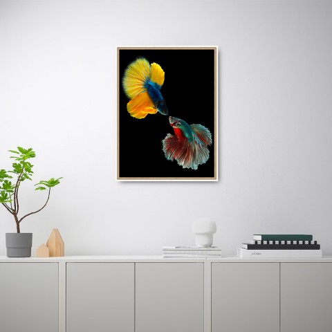 Fotoprint kleurrijke vissen schilderij in lijst 30x40 cm Unika 0021 Aanbieding