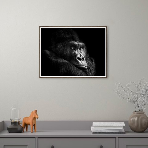 Tableaux Moderne Photographie impression Gorille photo animaux cadre 30 × 40 cm Unika 0026