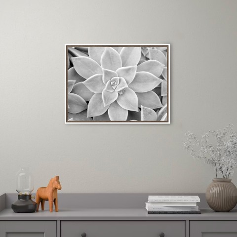 Cadre plante succulente impression photo noir blanc 30x40cm Unika 0056