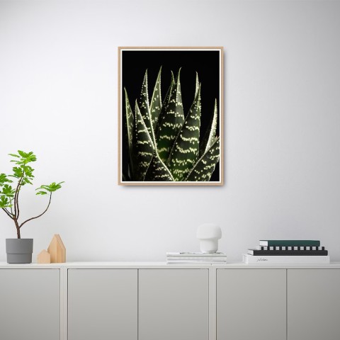 Tableau décoratif moderne photographique feuille d'Aloe cadre 30 × 40 cm Unika 0060