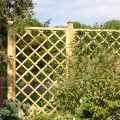 Houten lattenwerk 60x180cm voor klimplanten tuin terras Aanbieding