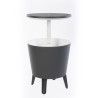 Table d'appoint avec glacière intégrée et plateau relevable Cool Bar Keter Catalogue