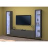 Meuble TV de salon design moderne noir 2 vitrines Liv RT Remises