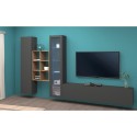 Moderne woonkamermeubel met vitrine, tv-meubel en boekenkast hout Rold RT Korting