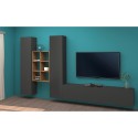 Meuble TV moderne 2 armoires 6 compartiments bibliothèque en bois Manny RT Remises