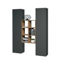 Moderne wandmeubel boekenkast van hout met 2 kasten voor de woonkamer Gemy RT Catalogus