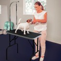 Opvouwbare honden trimtafel met lus Mastiff Korting