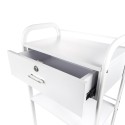Schoonheidsspecialiste-kapperstrolley met 4 wielen, lade en planken Gordon Korting