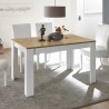 Table à manger extensible en chêne blanc brillant 90x137-185cm Bellevue Réductions