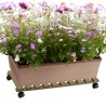 Chariot de plantes et fleurs à roulettes en bois 70x40cm Videl R Vente