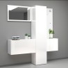 Ensemble meuble à chaussures armoire d'entrée avec miroir et porte-manteaux 2 meubles Linda Choix