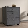 Laag ladekastje met wielen 3 lades 47x45x61 bureau kantoor Paul Aanbod