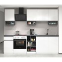 Cuisine linéaire complète 256 cm design moderne modulable Domina 