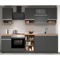 Complete modulaire keuken, lineair ontwerp, moderne stijl, 256cm Essence 