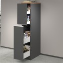 Moderne keukenlade met 2 kruidenlades 30x60x164,5 Trym 