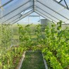 Serre de jardin aluminium polycarbonate 290x150-220-290x220h Sanus WM Choix