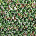 Haie artificielle 200x100cm photinia jardin treillis extensible Ivoss Offre