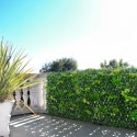 Haie de jardin artificielle en treillis extensible 200x100cm Laurus Vente