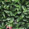 Kunstmatige Photinia haag realistisch tuinpaneel 50x50 cm Suber Korting