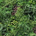 Realistische kunsthaag 100x100 cm met 3D planten Ilex Korting