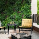Realistische kunsthaag 100x100 cm met 3D planten Ilex Verkoop