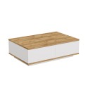 Salontafel met lage witte houten kast 90x60cm Tynne Verkoop