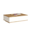 Salontafel met lage witte houten kast 90x60cm Tynne Kortingen