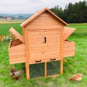 Verhoogd houten kippenhok 370x174x172 cm Hegg Aanbod