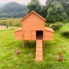 Verhoogd houten kippenhok 370x174x172 cm Hegg Korting