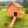 Verhoogd houten kippenhok 370x174x172 cm Hegg Kortingen