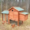 Poulailler en bois de jardin extérieur pour poules pondeuses 152x62x92 Marf Vente