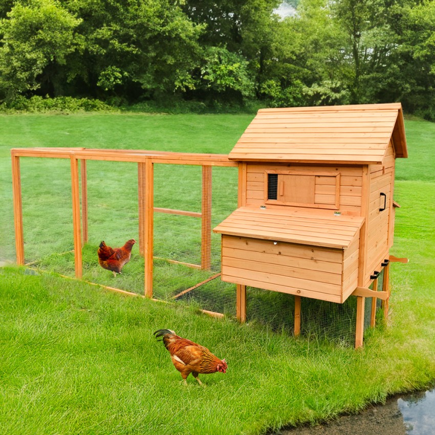 Verhoogd houten kippenhok 370x174x172 cm Hegg Aanbieding
