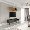 Meuble TV salon minimaliste moderne noir 2 portes 153x35x50cm Leroy Catalogue