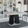 Table salle à manger extensible design moderne 120-160x90cm Mufo K350 Vente