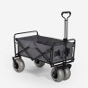Chariot de plage tout-terrain pliable 4 roues larges pneumatiques Dory Promotion