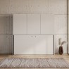 Lit escamotable horizontal avec armoire blanc Kando D Catalogue