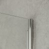 Cabine de douche verre trempé transparent de 8 mm 100x190cm Walk In Offre