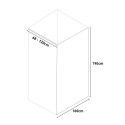 Cabine de douche verre trempé transparent de 8 mm 100x190cm Walk In Remises