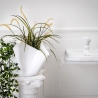 Transparante plexiglas plantenpot voor binnen Drappeggi Verkoop