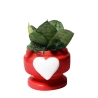 Sansevieria Nana plant in decoratieve pot met hart Eden als bedankje Aanbod