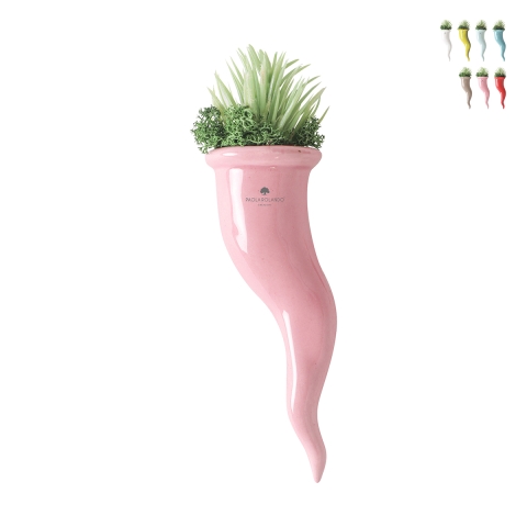 Plante grasse succulente en pot cornet en céramique Paola Rolando Partenope Promotion