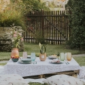 Plante Sansevieria en pot de verre pour intérieur Paola Rolando Hope Remises
