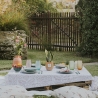 Plante Sansevieria en pot de verre pour intérieur Paola Rolando Hope Remises