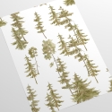 Papier peint adhésif forêt pour salon entrée Pini Verdi Remises