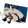 Set van 2 wasbare placemats 42x30 cm Aironi Blu Aanbieding