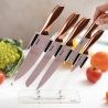 Ensemble de 5 couteaux en acier inoxydable avec bloc transparent Bisetti Stonerose Vente