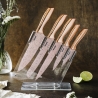 Ensemble de 5 couteaux en acier inoxydable avec bloc transparent Bisetti Stonerose Offre